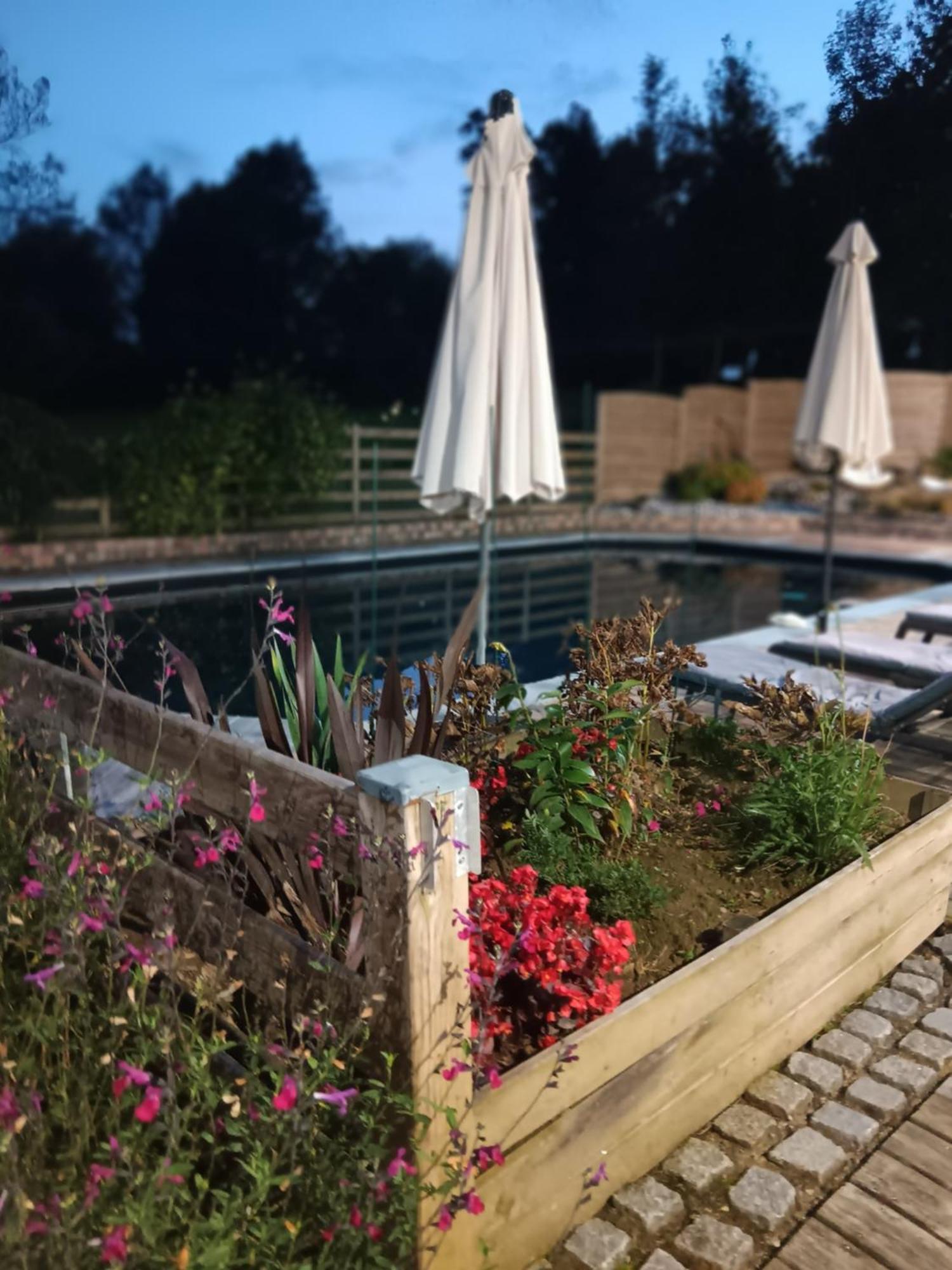 Le Val Daniniere B&B Adult Only Le Mesnil-Garnier Εξωτερικό φωτογραφία